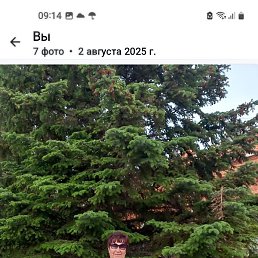 , , 60 