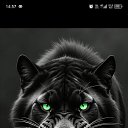 ���� ������, ���������, 36 ��� - ��������� 9 ������� 2025 � ������ ���� ����������