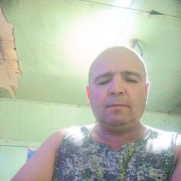 , 40 , 