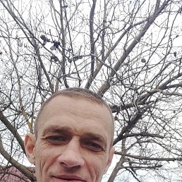 ����� ������, 38 ���, ���������