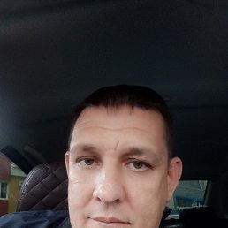 ������, 44 ����, ���