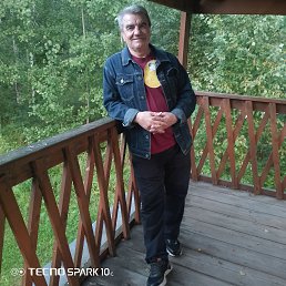 ����, 56 ���, ���������