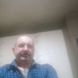 ����, 56 ���, ������