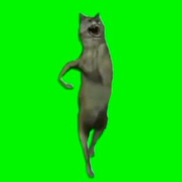 , 