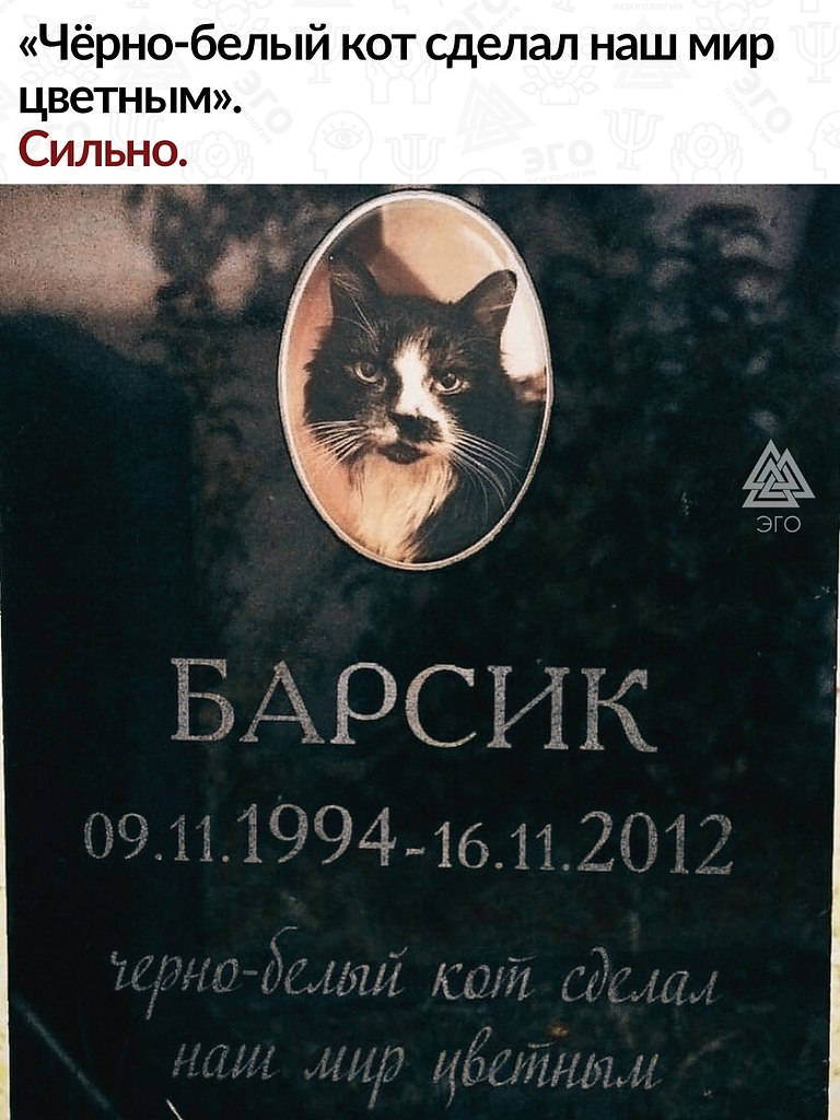  ,        !    