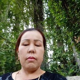 , 44, 