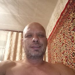 ���� ������, �������, 48 ��� - ��������� 20 ������� 2026