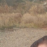 �������, 36 ���, ������ �����