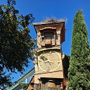 ���� ������, ����������, 61 ��� - ��������� 3 ������� 2025 � ������ ������ ��������