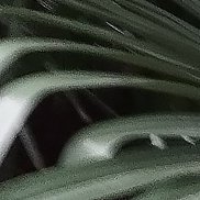 ���������, 38 ���, ������ �����