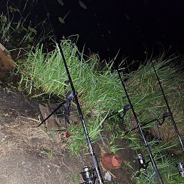 ������, �������, 32 ����