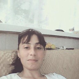, 41, 