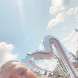 , 39, 