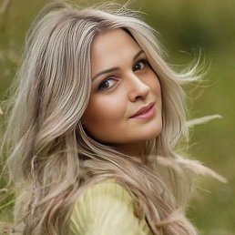 �������, ����������, 41 ���