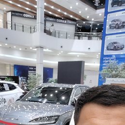 , 33, 