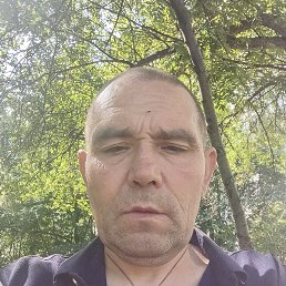 , 43, 