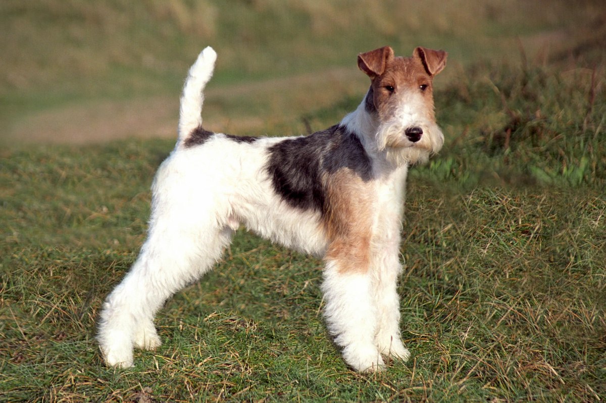 ОБО ВСЕМ - 3 октября 2025 в 15:20