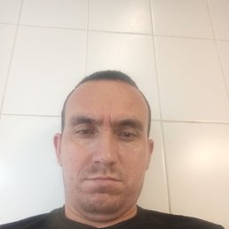 , 33, 