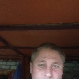 , 45 , 