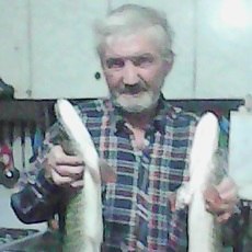 ���� ��������, ����������, 53 ���� - ��������� 31 ����� 2026