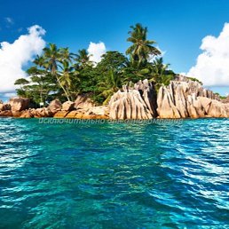 S, ������, 48 ���