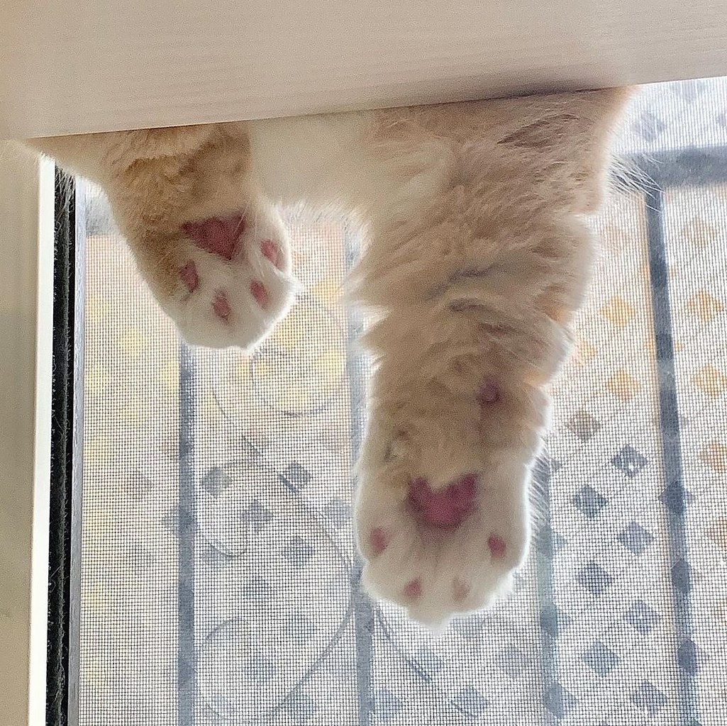  , ... - 3