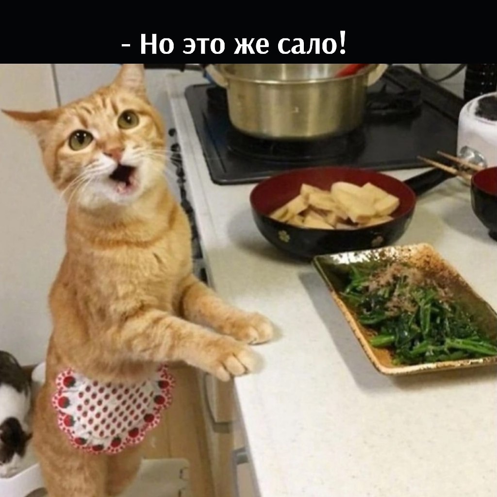       - 7  2025  16:10 - 3