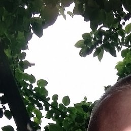 ��������, ������, 38 ���