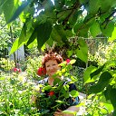 ���� *Tatiana*, ������������ - ��������� 11 ���� 2026 � ������ ���� ����������
