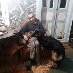 ���� �����, ������, 52 ���� - ��������� 15 ������� 2025