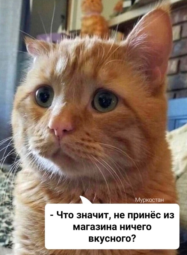  - 23  2025  15:27