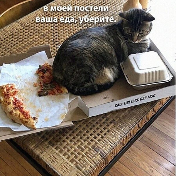    - 20  2024  22:22