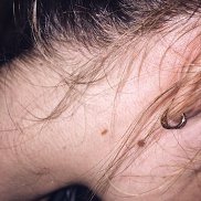 , 23 , -