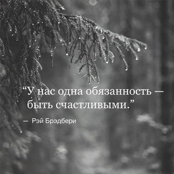   - 13  2024  16:06