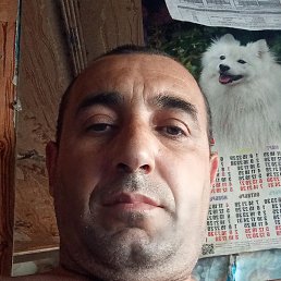 , , 42 