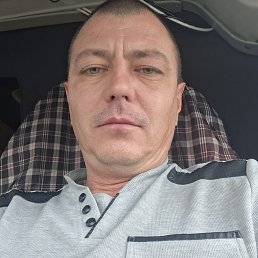 , 44, 