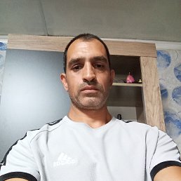 , 43, 