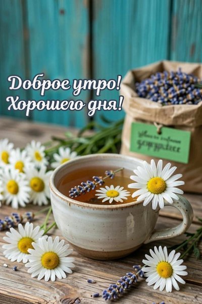����������� � ���������, �������� �� ������ ����. - 25 ���� 2026 � 22:19 - 5