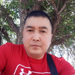 , 42, 