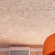 ����, 44 ����, ������