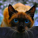 ���� ������, ������������, 46 ��� - ��������� 3 ������ 2024 � ������ ���� ����������