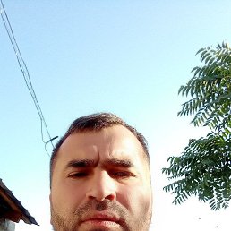 , 41, 