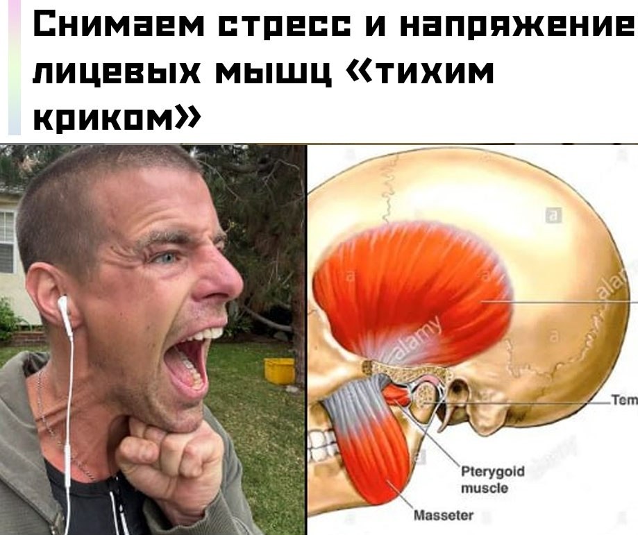 Специалист по работе с травмами и зажимами поделился простым упражнением. Сохраняем себе и ...