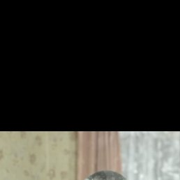 ����, ������, 40 ���