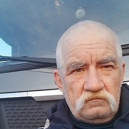 Vit, ������, 62 ����