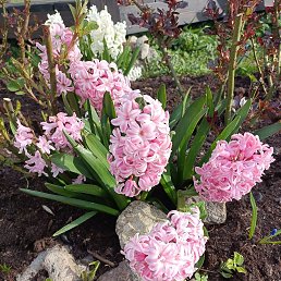 ���� �����, ������, 73 ���� - ��������� 14 ������ 2024