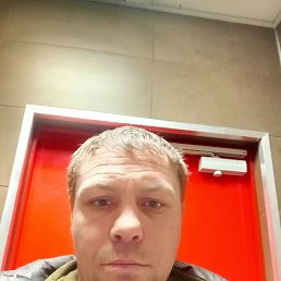 ������, 41 ���, ��������