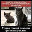���� ����, ��������� - ��������� 27 ������� 2025 � ������ ������ ��������