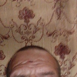 , 49 , 