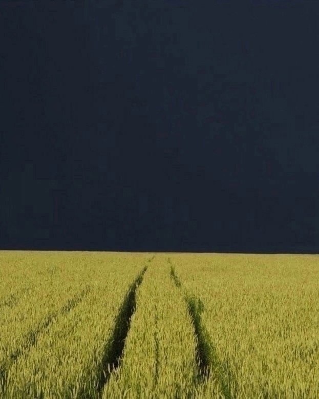       ,    . - 3